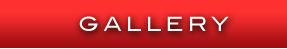 gallery button