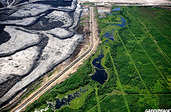 deforestation