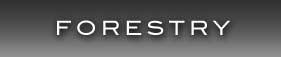 forestry button