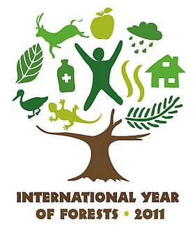 year of the forest